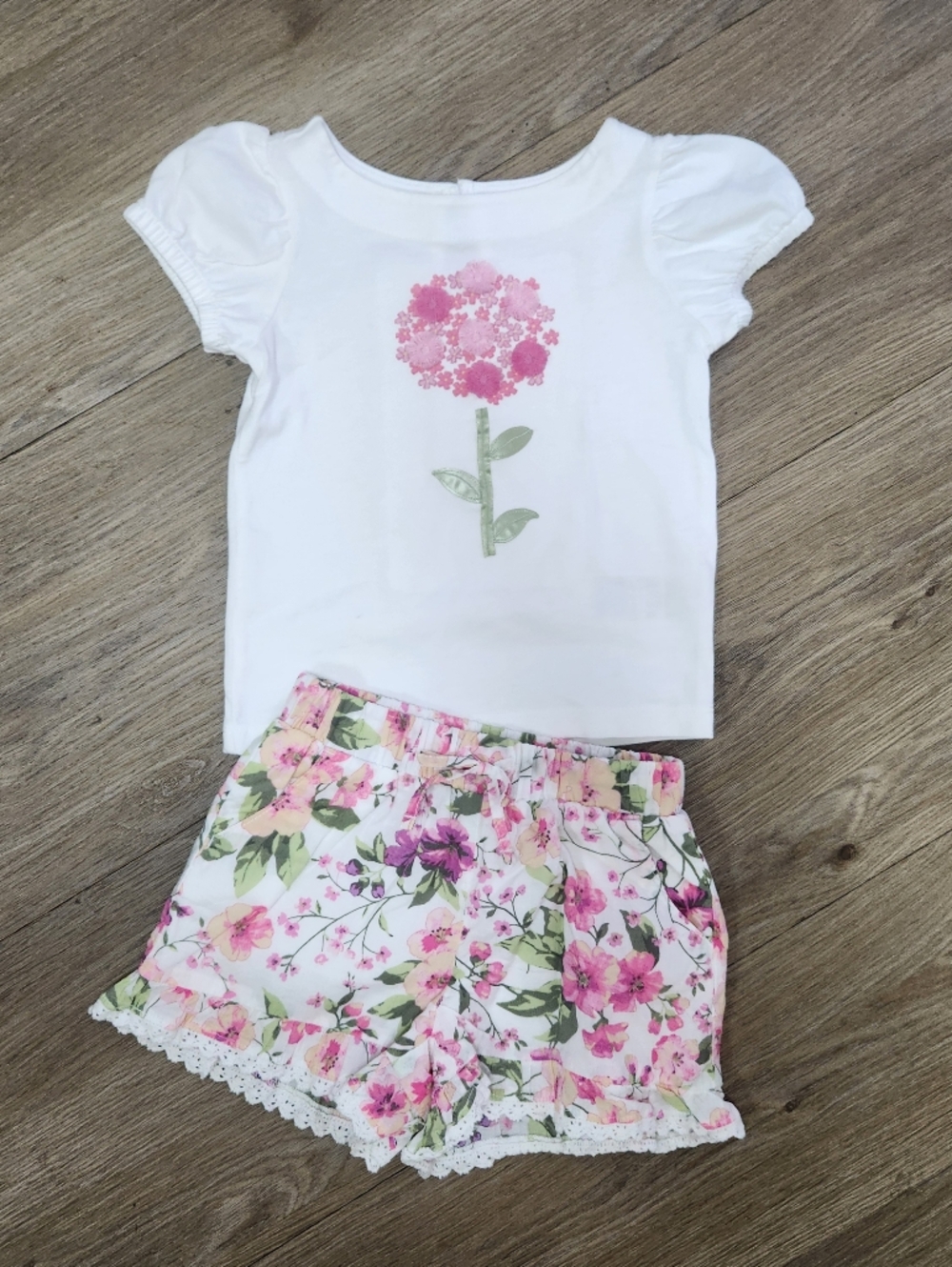 Janie and Jack Girls Floral 2-Piece Set | 3D Flower Tee & Lace Shorts - Size 2T